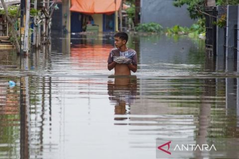 Banjir rendam Pekalongan, 8.692 KK terdampak