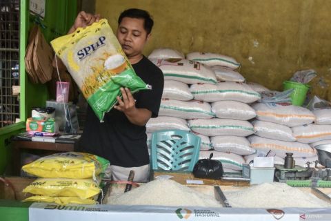 Badan Pangan Nasional atur batas pembelian beras Bulog SPHP
