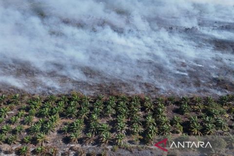 Karhutla di Aceh Barat semakin meluas, petugas terus lakukan upaya pemadaman