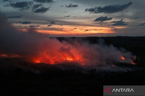 Kebakaran hutan dan lahan gambut makin meluas di Aceh Barat