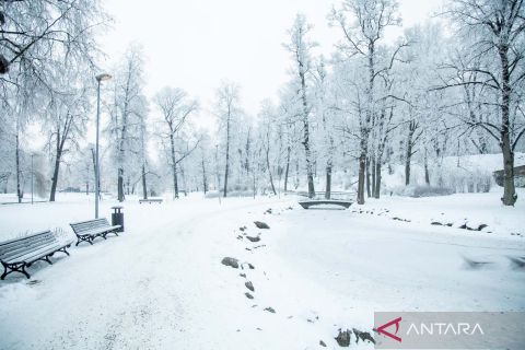Pemandangan taman yang membeku di Latvia