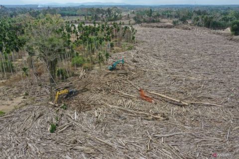 Bangkit Sumatera : Pembersihan kayu gelondongan di Geudumbak Aceh Utara