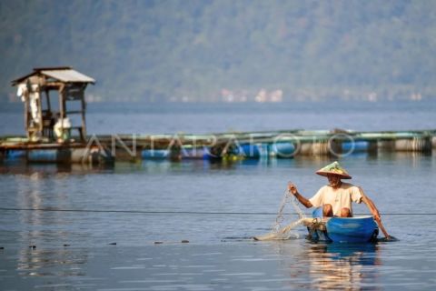 Nelayan mulai kembali menangkap ikan di Danau Maninjau