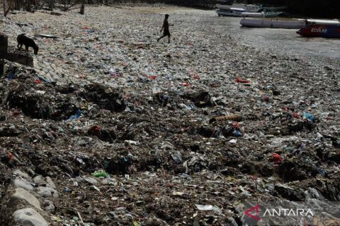 Miris! lautan sampah hilangkan keindahan Taman Wisata Laut Teluk Kupang