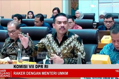 Menteri UMKM dan DPR bahas penguatan kebijakan batasi impor ilegal