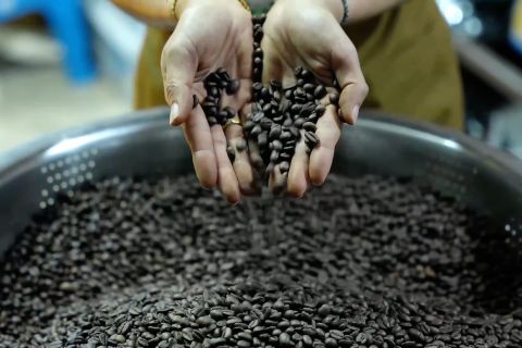 Aroma kopi Laos menguar kuat menembus seluruh penjuru dunia
