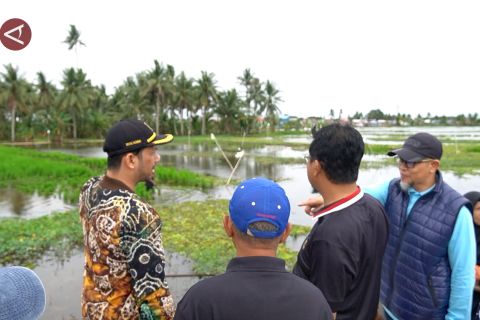 Cari solusi, anggota DPRD Banjarmasin tinjau titik banjir