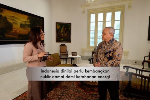 Indonesia dinilai perlu kembangkan nuklir damai demi ketahanan energi (Bagian 3)