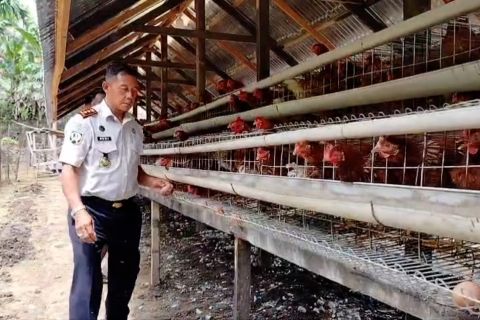 Lapas Lubuk Basung dukung ketahanan pangan lewat peternakan ayam