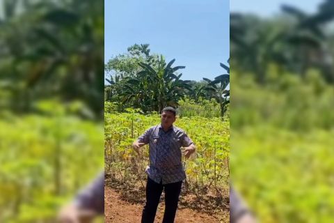 MA kabulkan kasasi Pemprov Sulsel atas kasus sengketa lahan Manggala