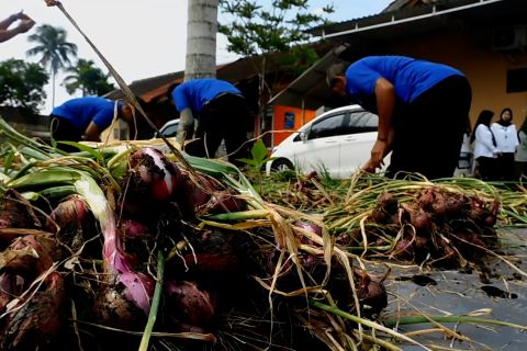 Menjaga ketahanan pangan dari balik jeruji besi Rutan Temanggung