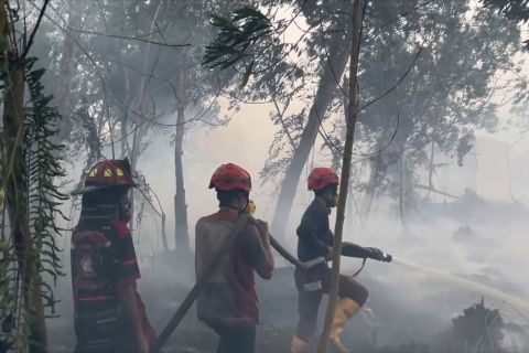 Pemkot Pontianak tanggulangi kebakaran puluhan hektare lahan gambut