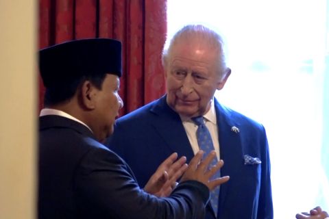 RI dan Inggris perkuat diplomasi lingkungan lewat konservasi gajah