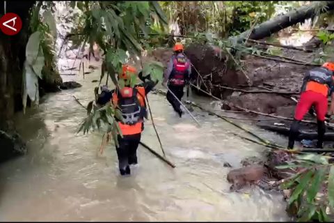 Tim SAR gabungan terus lakukan pencarian Ibu dan balita hanyut di Bali
