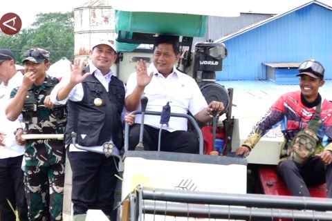 Wamentrans: Lumbung pangan ciptakan ekonomi baru hingga swasembada