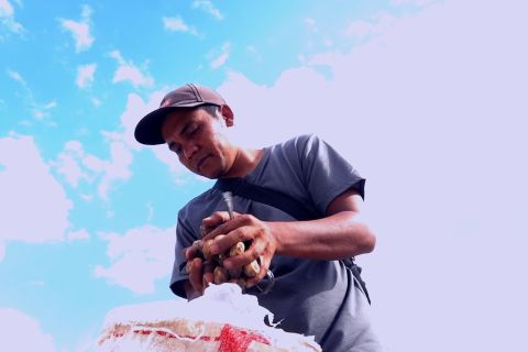 Semangat petani kemiri Gayo Lues tak padam pascabencana