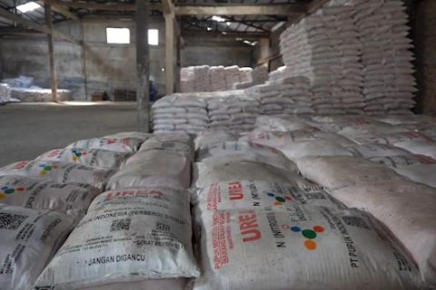 Sumbar terima alokasi tahap pertama 1.100 ton pupuk NPK subsidi