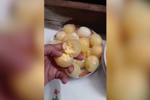 Tunggu hasil lab, Polda Maluku masih dalami temuan dugaan telur palsu