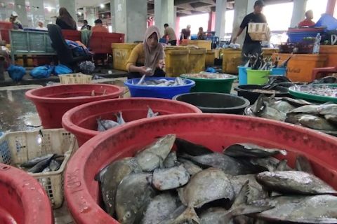 Cuaca buruk pengaruhi pasokan ikan di pasar Rejomulyo Semarang