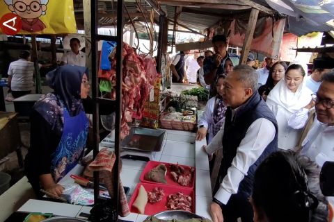 Zulhas sebut harga pangan selama libur akhir tahun tetap stabil