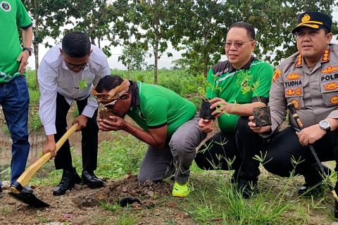 Hijaukan hilir kali Cibanten, 1.500 pohon ditanam di Kota Serang