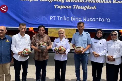 Sultra ekspor perdana 15 ton ubur-ubur dari Baubau ke China