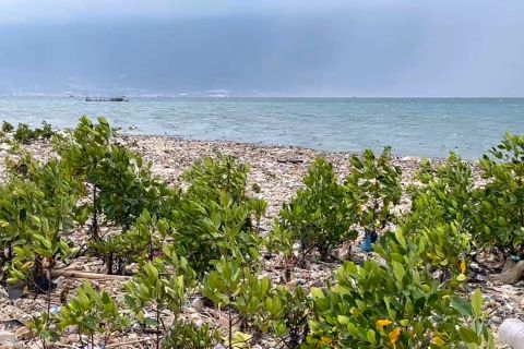 DLH Palu pastikan tumpukan sampah di pantai Layana dari daerah lain