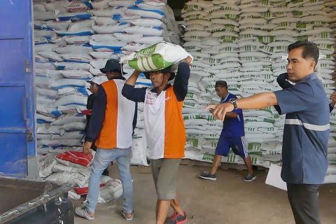 Temanggung jamin stok pupuk untuk tingkatkan produksi pertanian