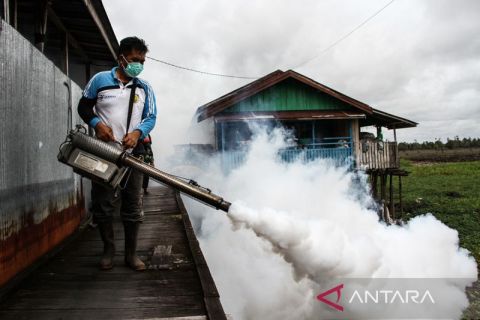 Upaya cegah DBD, fogging dilakukan di permukiman Palangka Raya