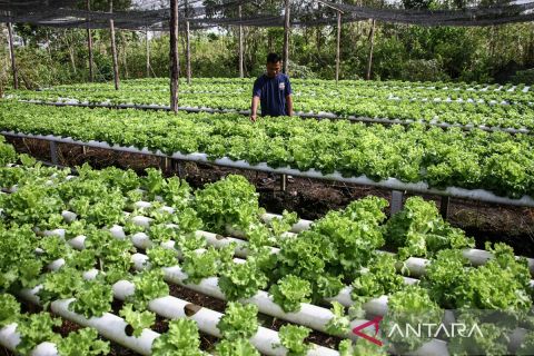 Dorong UMKM, pemerintah siapkan kredit program Rp332 triliun pada 2026