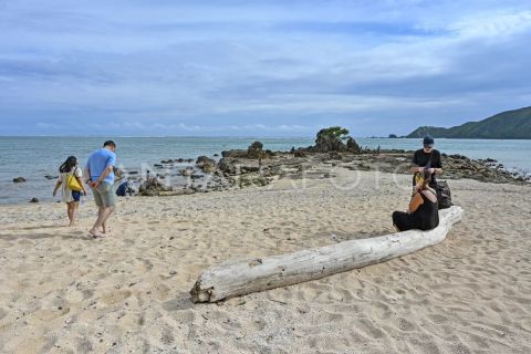 Realisasi penerimaan pajak di wilayah NTB 2025