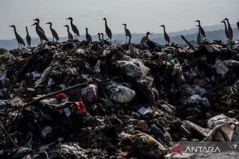 Pengelolaan sampah nasional: capaian meningkat, ini strategi kejar target 63,4 persen