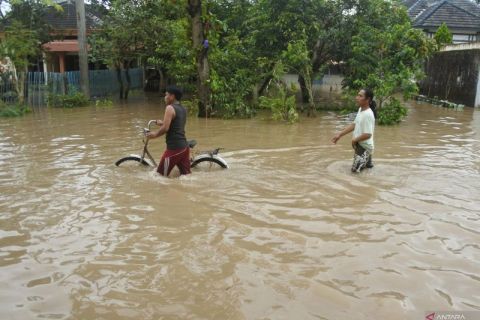 Banjir menerjang delapan kecamatan di Jember