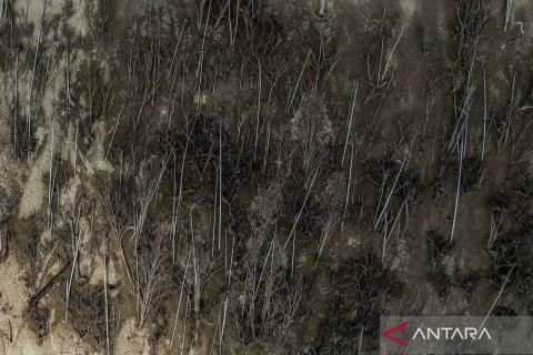 Satu dusun masih hilang akibat terdampak bencana alam di Aceh Timur