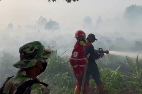 Operasi darat BPBD Mempawah cegah kebakaran lahan gambut meluas