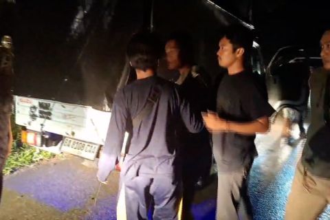 Pelaku perdagangan tapir ditangkap di Pasaman