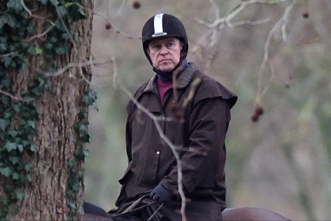 Andrew, adik Raja Charles ditahan terkait kasus Epstein