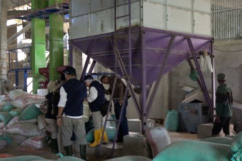 Banyuasin hibahkan lahan ke Bulog untuk infrastruktur pascapanen padi