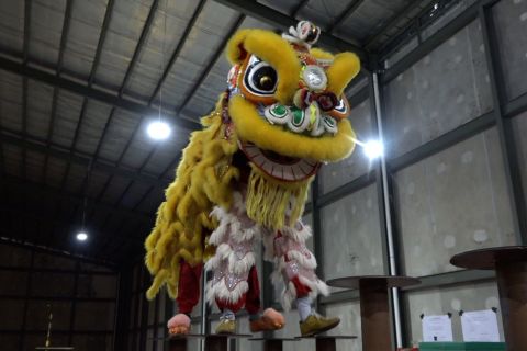 Barongsai, tradisi Imlek penyatu budaya dan prestasi