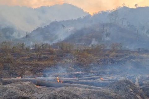 BPBD Sulteng buka opsi pemadaman karhutla dengan&nbsp;"water bombing"