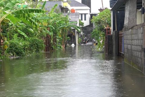 Cuaca ekstrem, sejumlah wilayah Bali terendam banjir