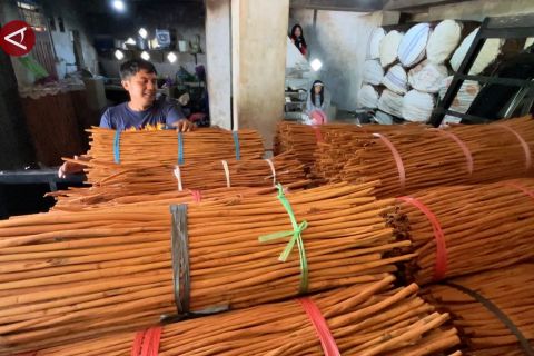 Geliat rempah kulit kayu manis dari daerah terdampak bencana di Agam