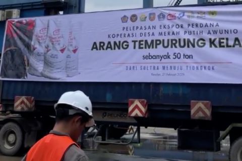 Koperasi Merah Putih Awunio ekspor 50 ton arang kelapa ke China