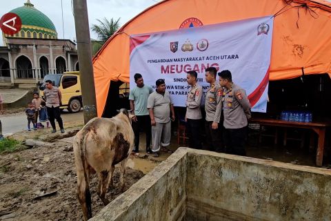 Mahasiswa PTIK sasar penyintas bencana pada tradisi Meugang di Aceh