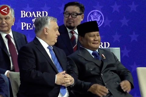 MUI desak RI mundur dari Board of Peace, ini respons Mensesneg