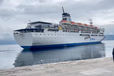 Pelni Palu beri diskon tiket 30 persen saat  Idul Fitri 2026