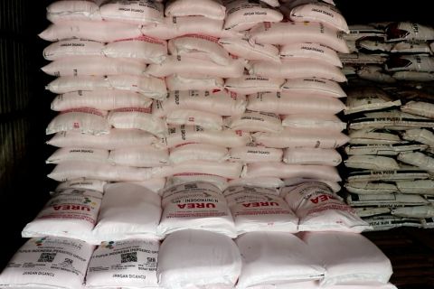 Pupuk subsidi Temanggung surplus 2.194 ton, musim tanam 2026 aman