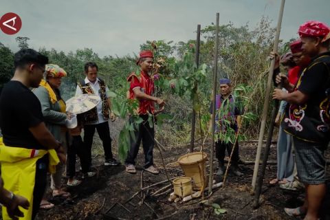 Bebas dari alih fungsi, 7.771 ha hutan adat Kaltim resmi diakui negara