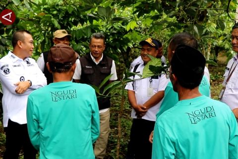 Belajar ke Temanggung, Kepahiang dorong budidaya kopi petik merah