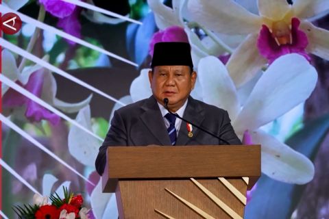 RI inginkan BoP beri solusi nyata untuk kemerdekaan Palestina